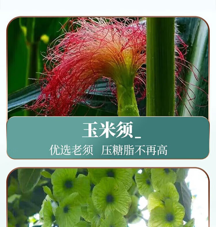 74a40fa0881a1f73.jpg