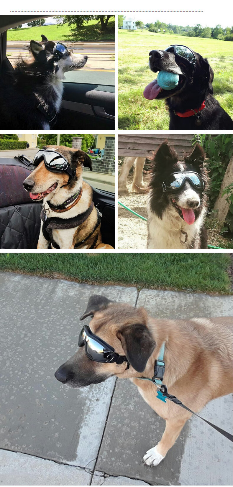 宠物墨镜狗狗防风眼镜法斗金毛哈士奇中大型犬用潮牌配饰护目镜 黑色