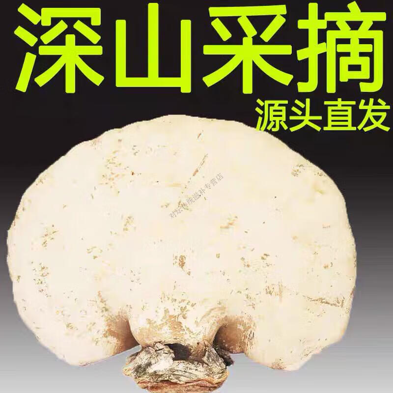 5e25f26cfd699d9e.jpg