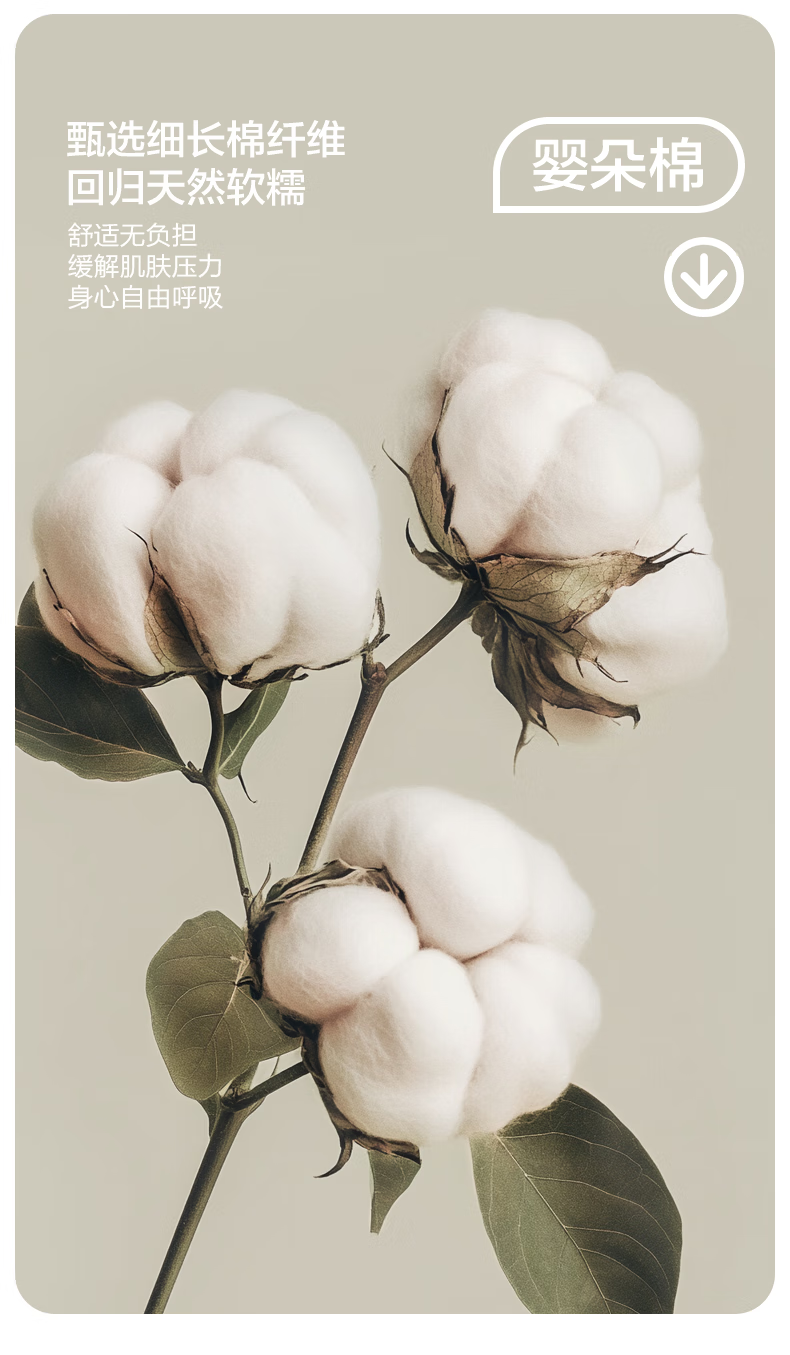 360590f1a6478f3a.png