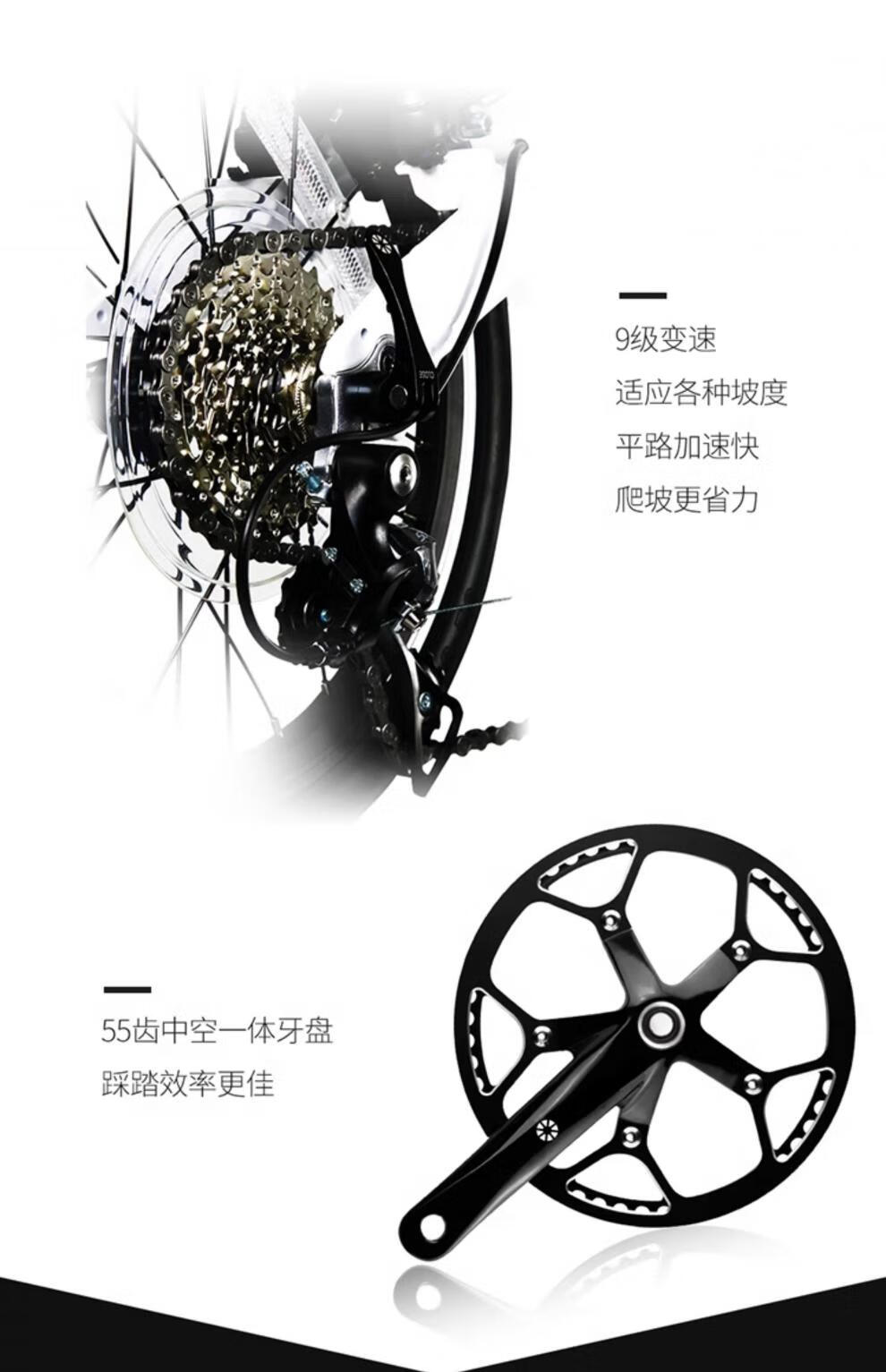 c57b43517e4506f6.jpg
