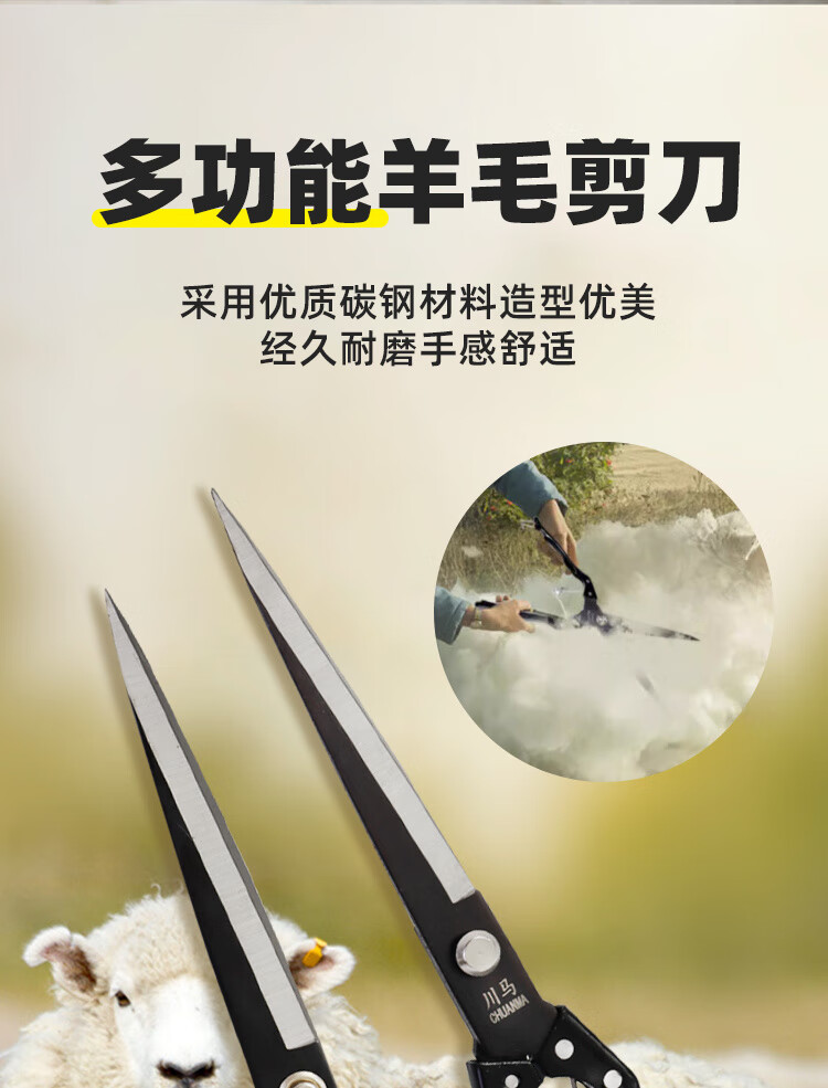 af7bcedd-e116-4d35-ae81-fe0cdadd231b.jpe