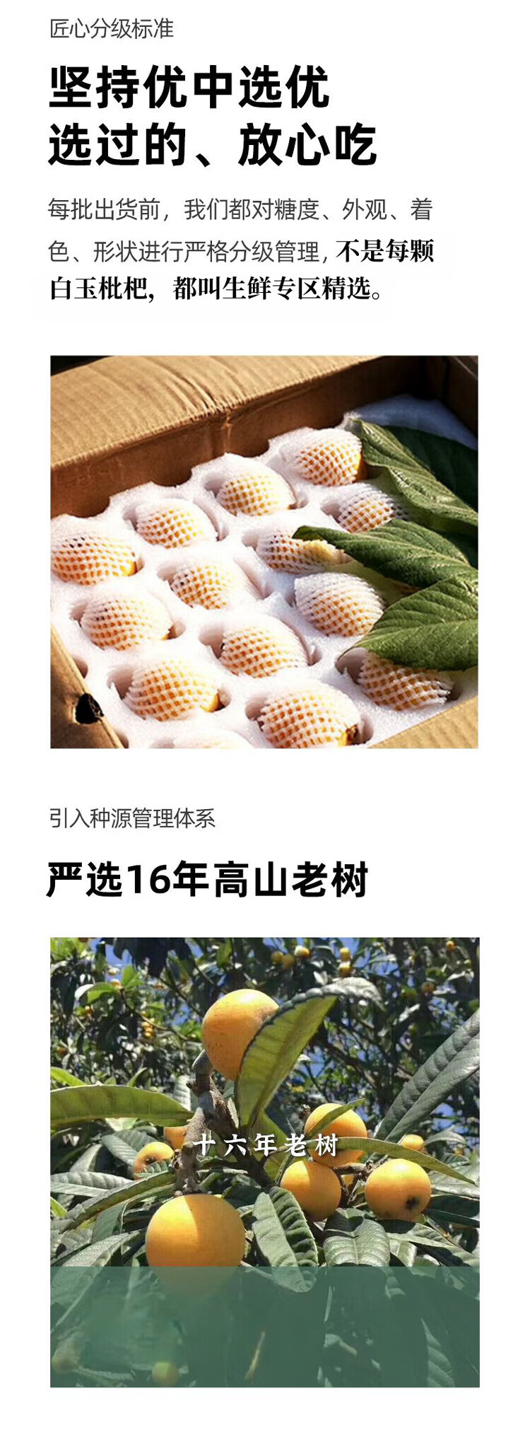 ff4d67e0317fcf21.jpg