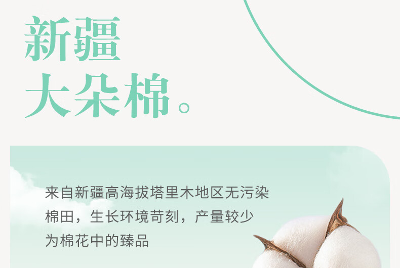 c93babc1e5f4fb33.jpg