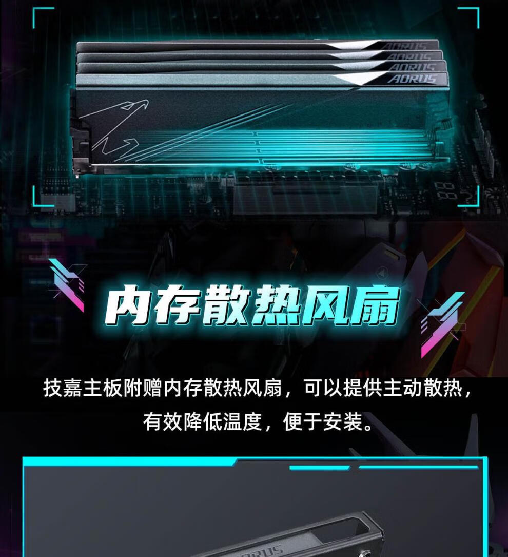 b7fc87497df452cd.jpg