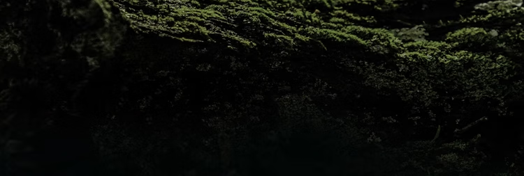 44b14557af38c73b.png