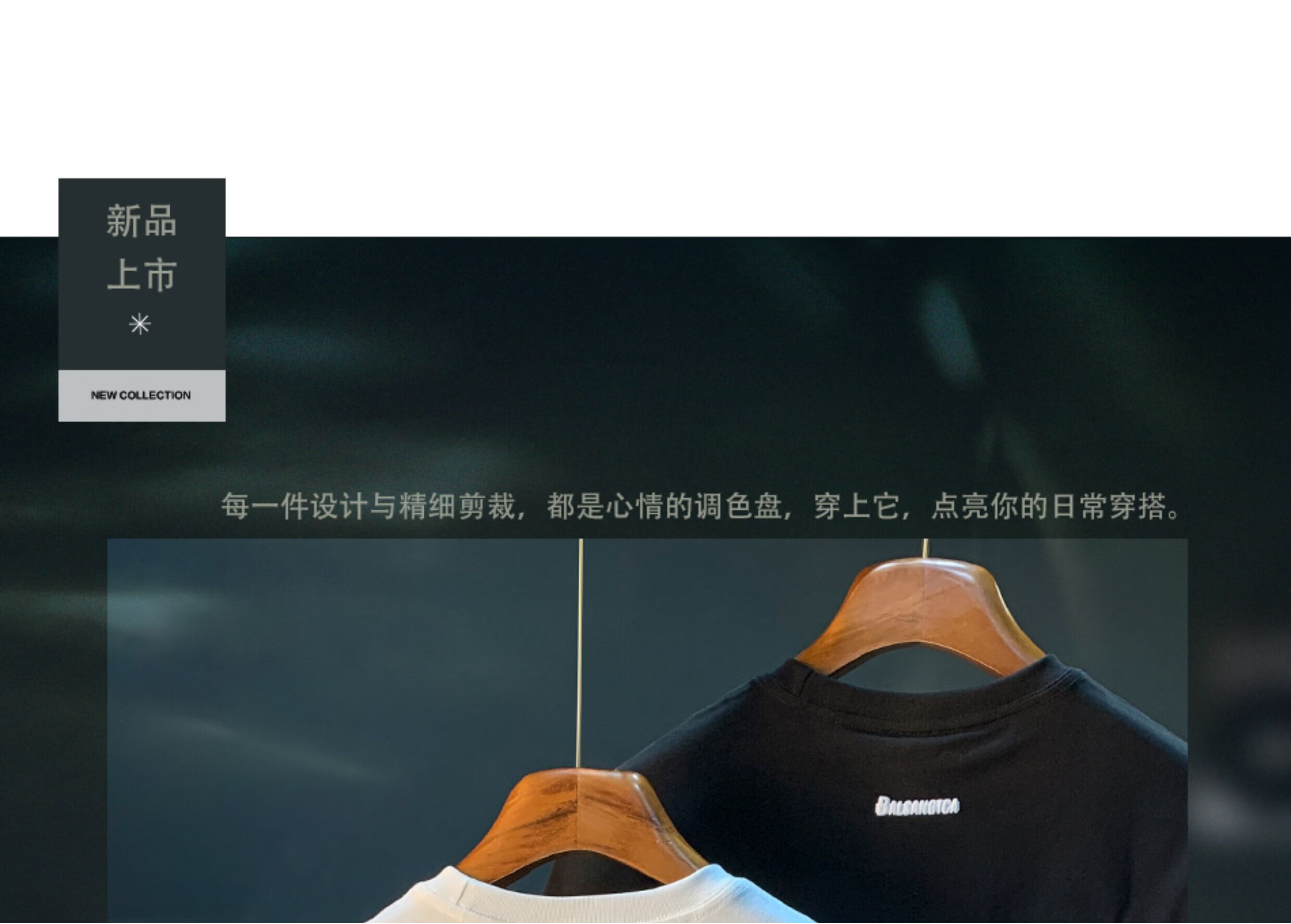 5ee73912a6fb2054.jpg