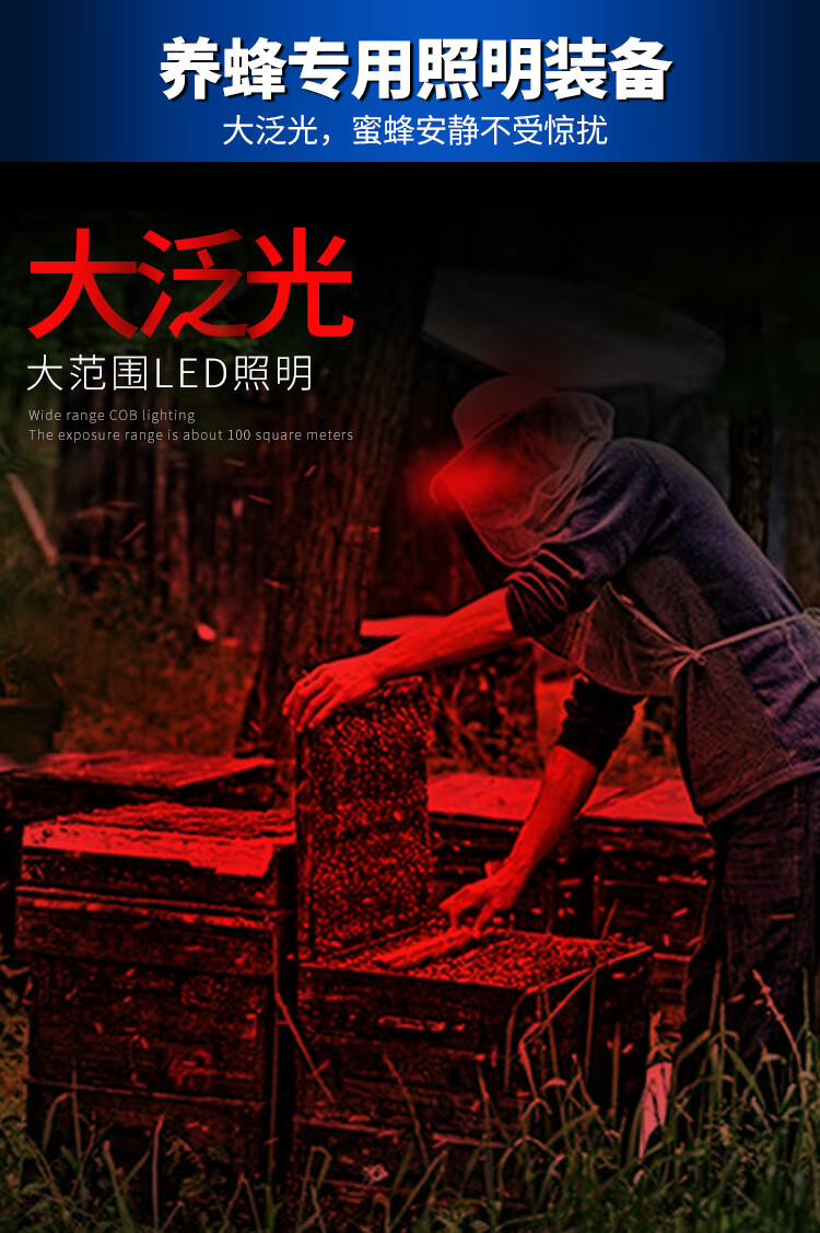 eca5484209c24c6c.jpg