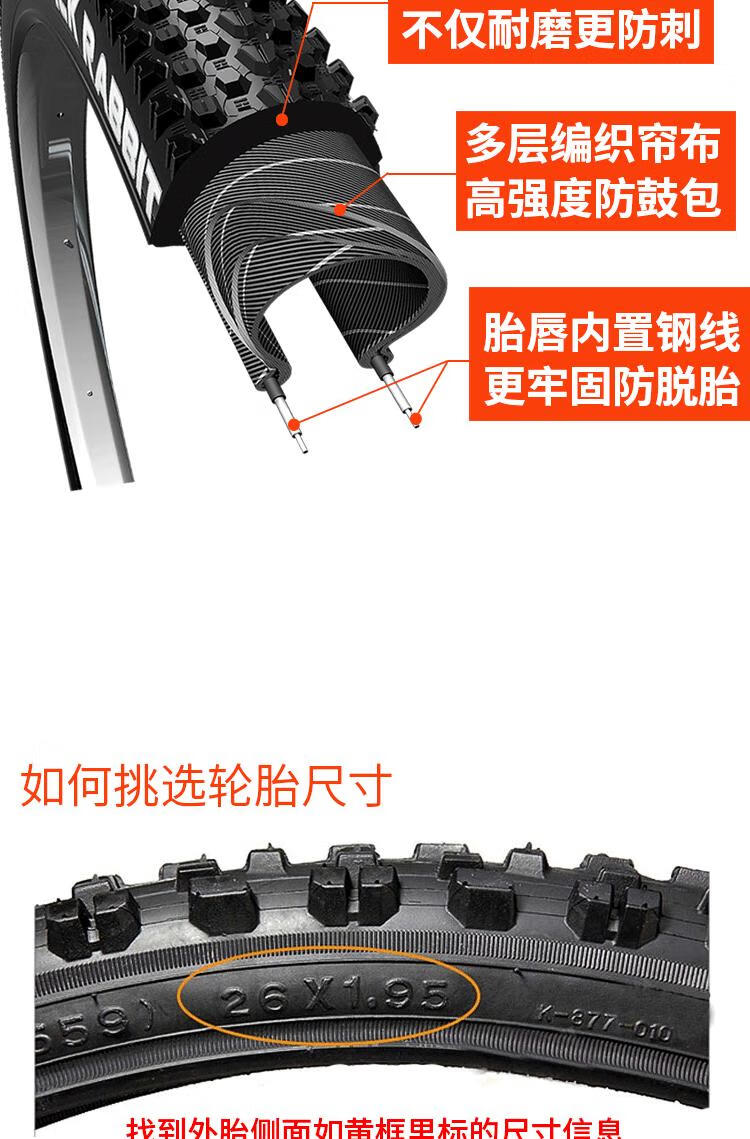 dd62b2669386b8e0.jpg