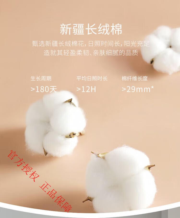 f85a99717d6f7b16.jpg
