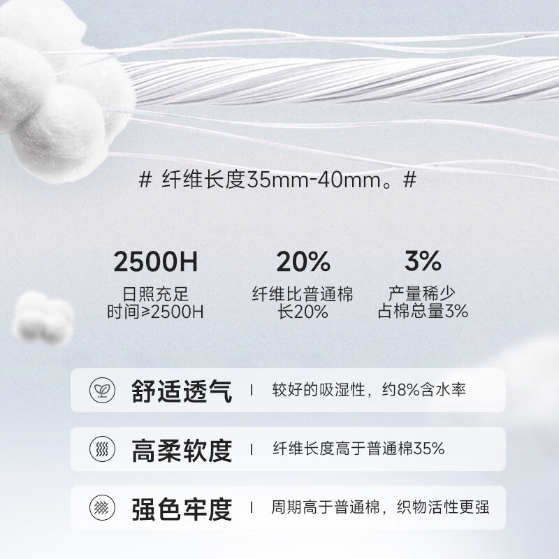 ab78ba0aa8260c88.jpg