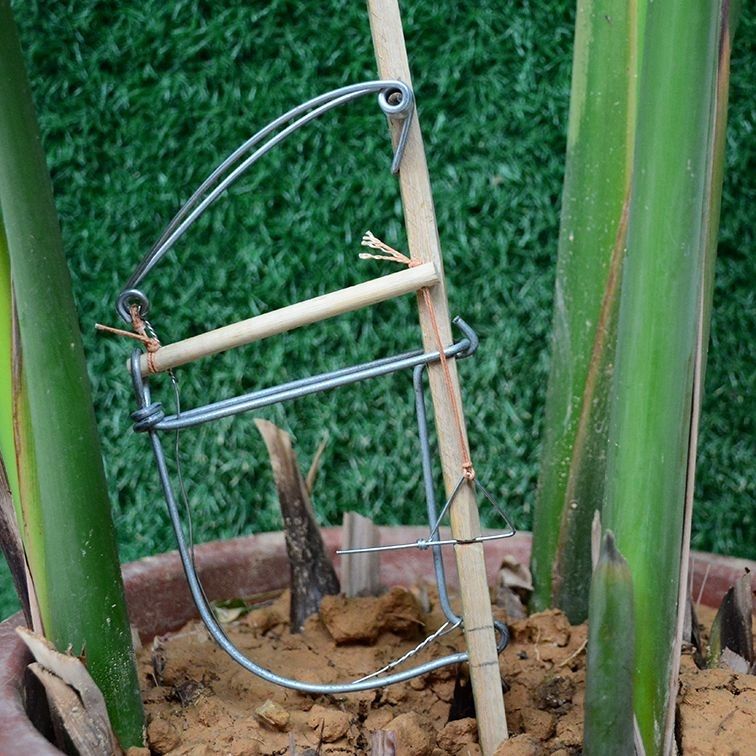 捕野钢丝神器捕鼠夹无齿自制老鼠夹竹制夹子灭鼠器店铺老鼠笼子连续