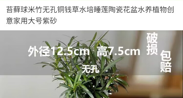 e7083c58ae85697f.jpg