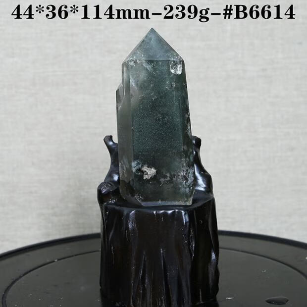 81f466b8bac4cc8a.jpg