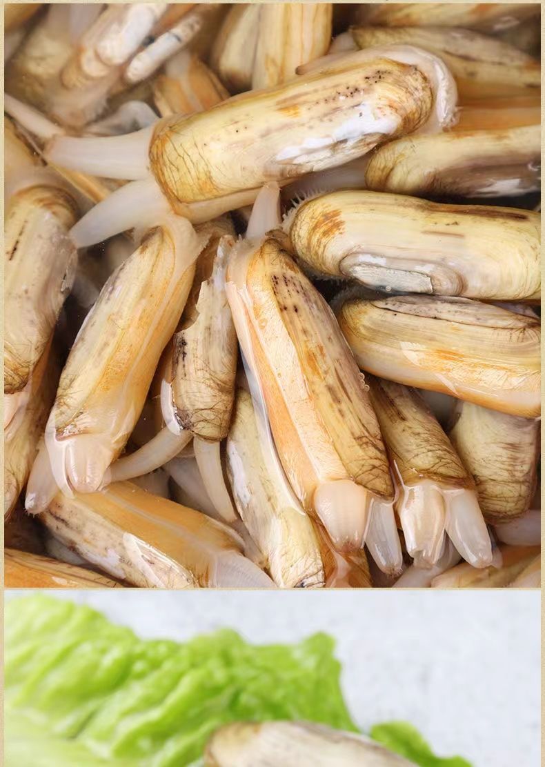 鲜活无沙大蛏子现捞现发肥嫩新鲜营养丰富竹节蛏3斤装家庭