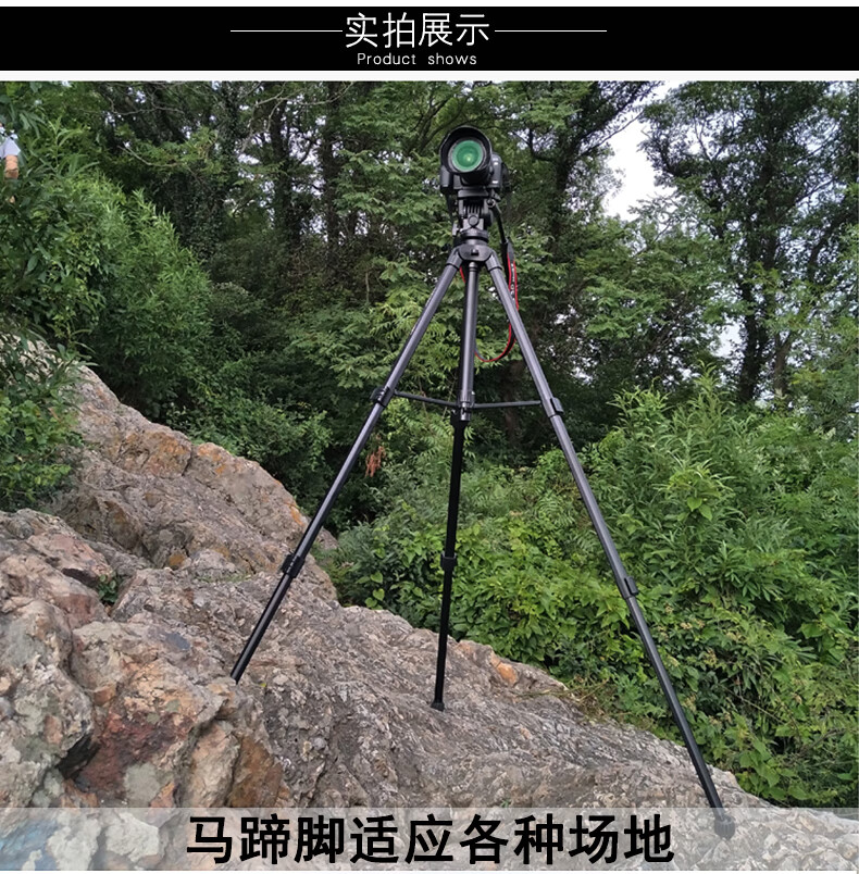 25194d0873082bac.jpg