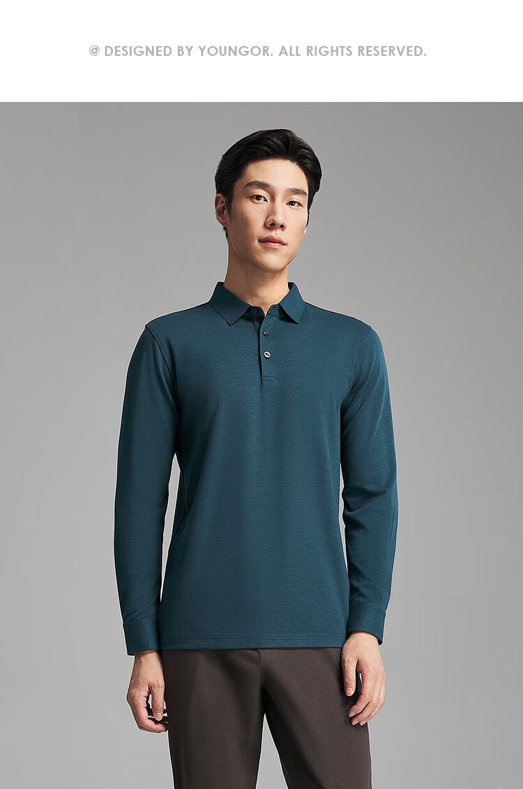 Youngor Antibacterial Antistatic Autumn Winter Men's Machine Washable Wool Business Casual Long Sleeve Polo Shirt 519960 10