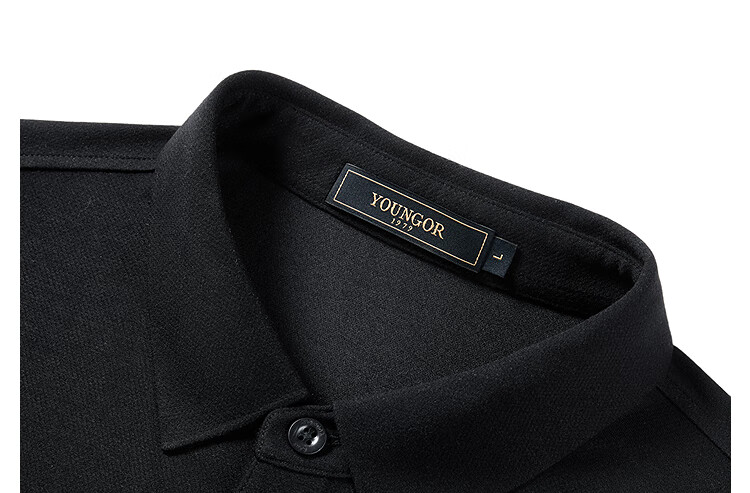 Youngor Antibacterial Antistatic Autumn Winter Men's Machine Washable Wool Business Casual Long Sleeve Polo Shirt 519960 13