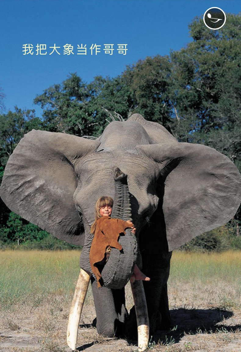 【赠明信片】我的野生动物朋友正版全新完整版蒂皮·德格雷人与自然