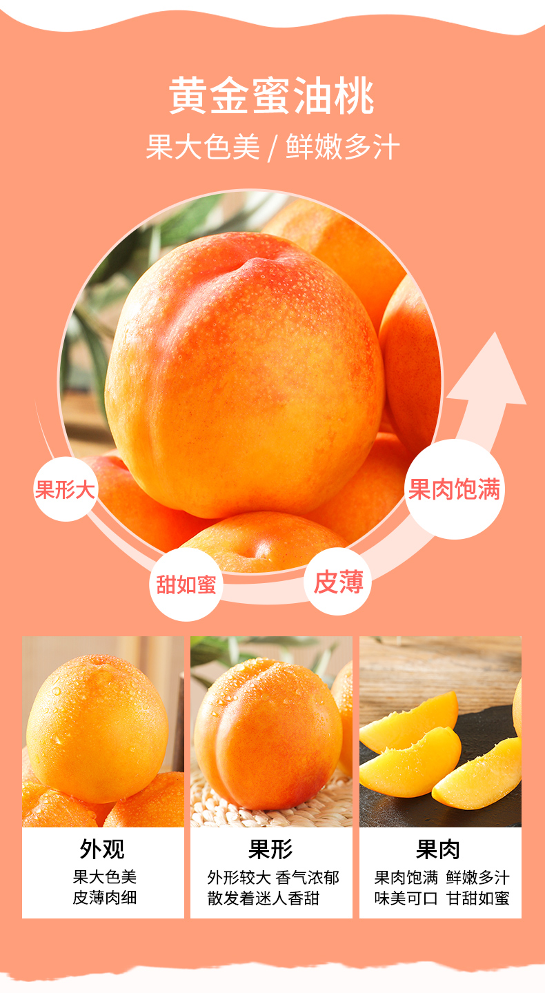 顺丰空运 正宗北京平谷现摘大桃 黄油桃澳油黄金油桃 无毛脆甜果时令