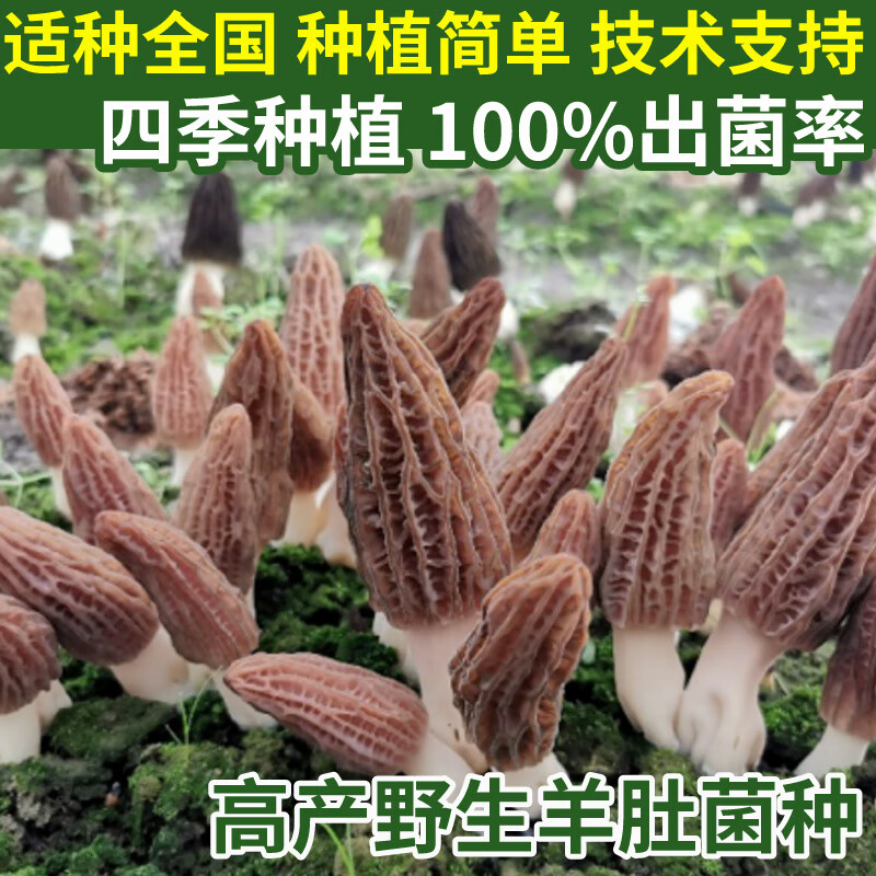 8f46da4cc6771ddc.jpg