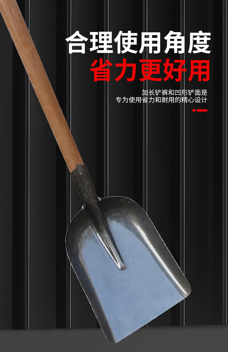 a5e08732328681b1.jpg