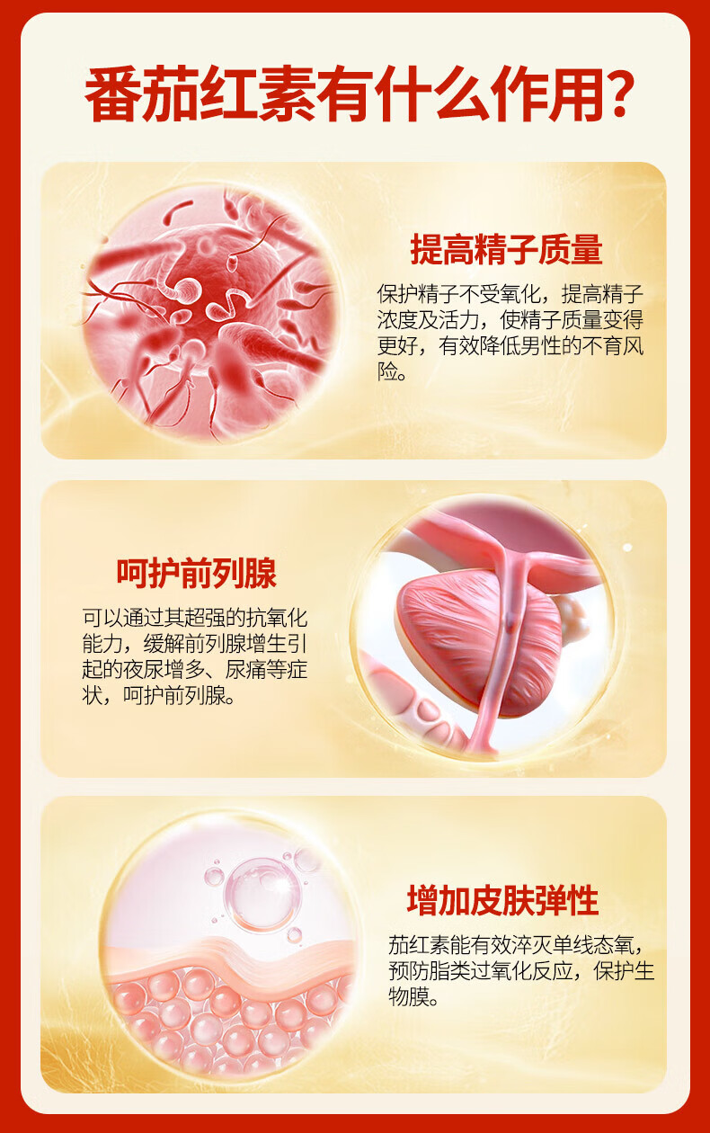 f94b26b6e78dbde3.jpg