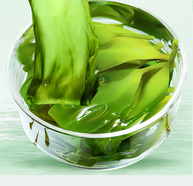 压缩有机海带苗嫩苗烘干霞浦特产正宗嫩非特级干货火锅食材海带芽