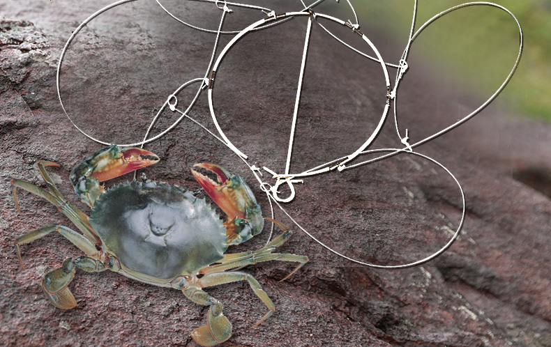 6个圈钓螃蟹工具螃蟹套螃蟹箍螃蟹钩钓螃蟹圈螃蟹套蟹箍6个圈螃蟹套一