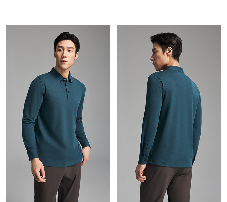 Youngor Antibacterial Antistatic Autumn Winter Men's Machine Washable Wool Business Casual Long Sleeve Polo Shirt 519960 11