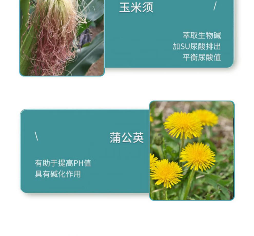 【现货速发】爱司盟黑樱桃芹菜西芹籽关注中老年尿酸高通风人群美国