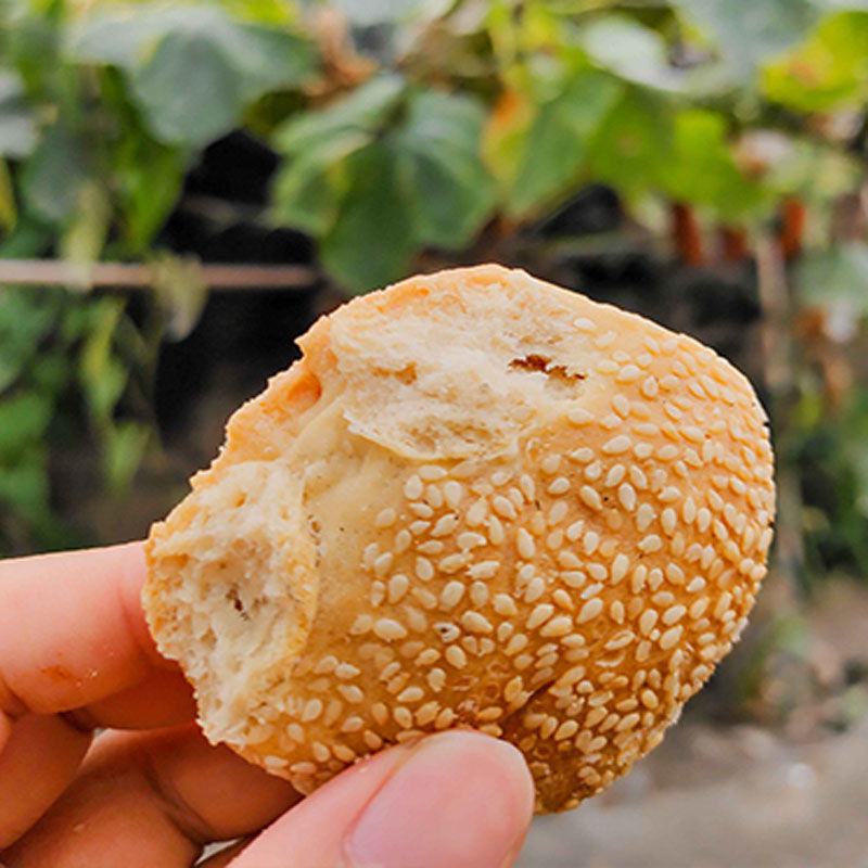 5折 福清光饼猪油酥饼 传统糕点点心福建特色美食福清特产 猪油酥饼 5