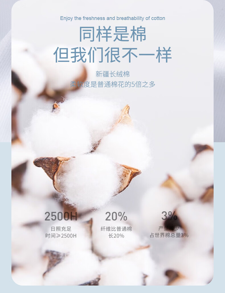 cd46440766bff8a5.jpg