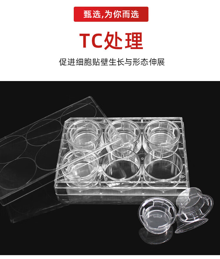 cd46440766bff8a5.jpg