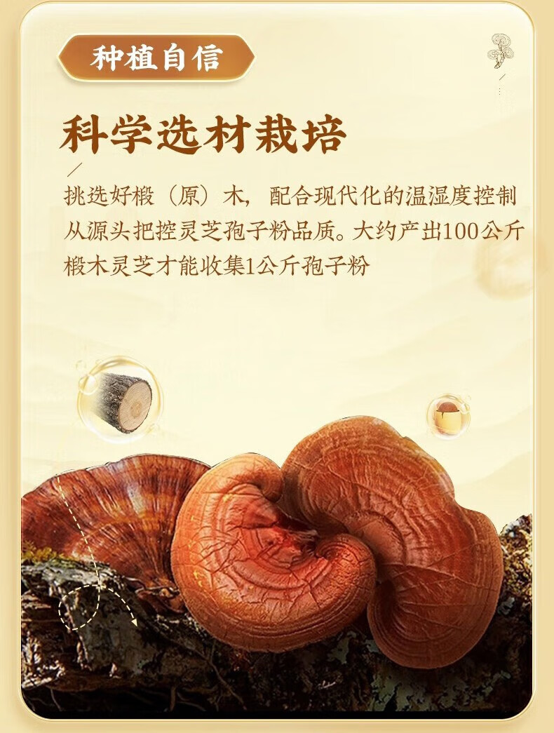 29ca89270a9b12d1.jpg