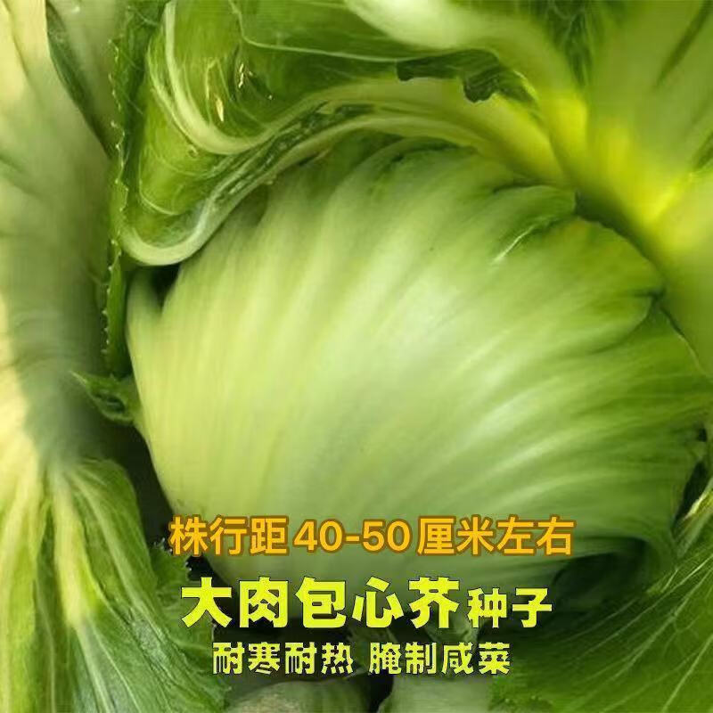 b72a24fc5d51887b.jpg