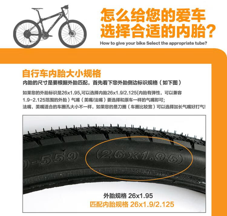 44f072cd45210c01.jpg