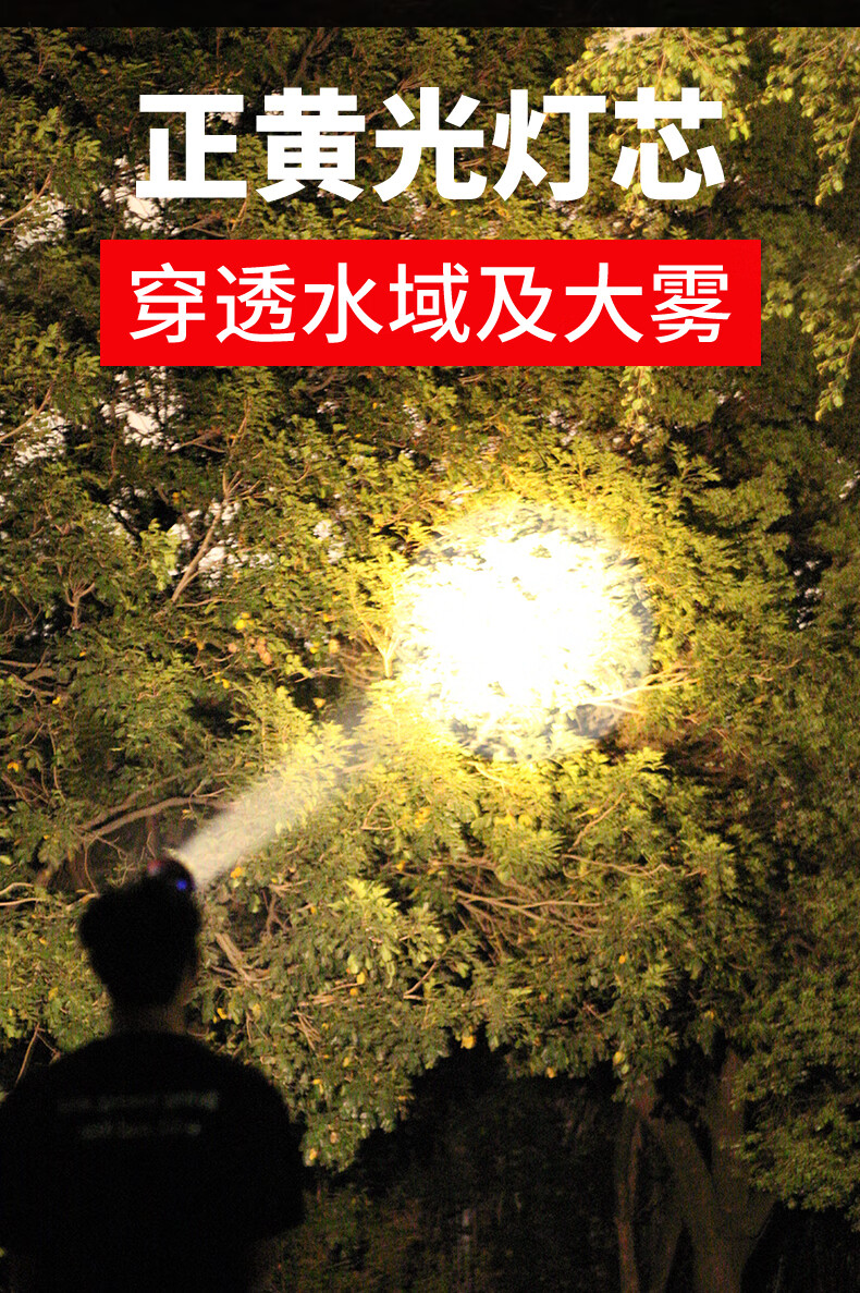 6f08b44354e5cdc4.jpg