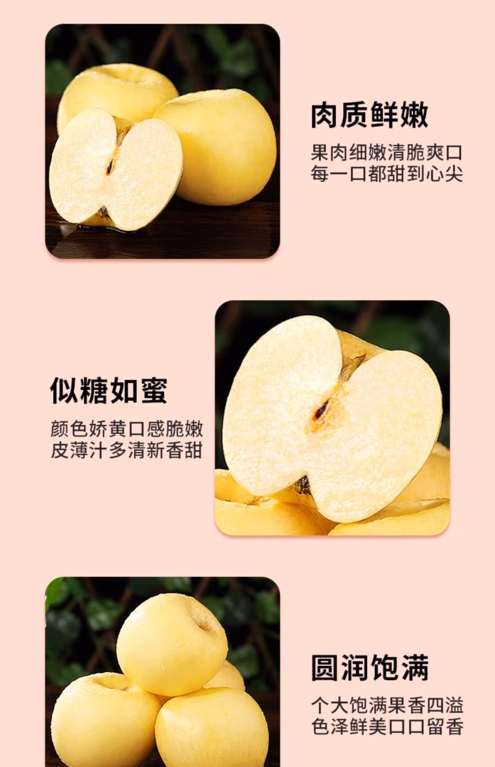 a080488d92702297.jpg.avif