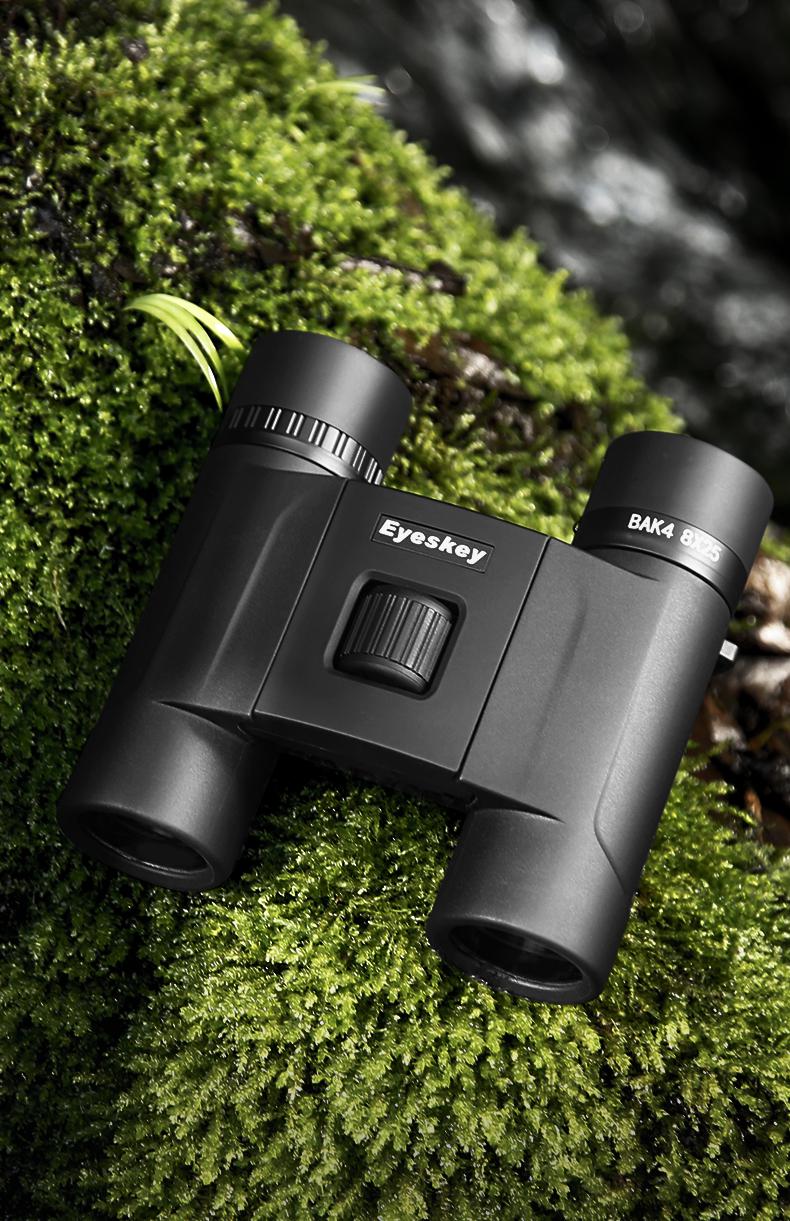 2022新款离子望远镜 艾斯基双筒望远镜高倍高清级迷你便携折叠防水