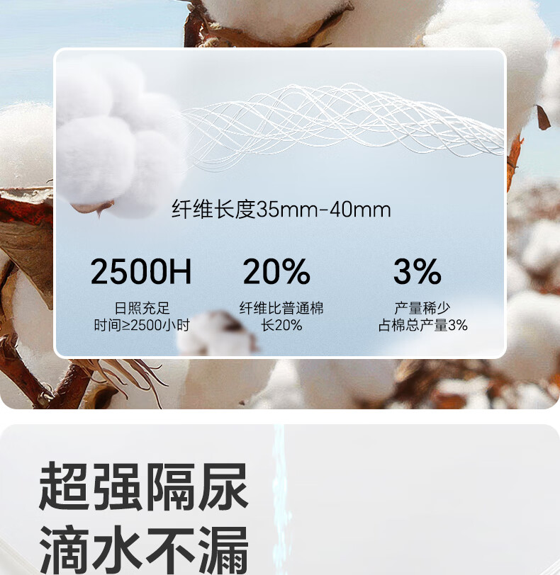 472e2c956824b745.jpg