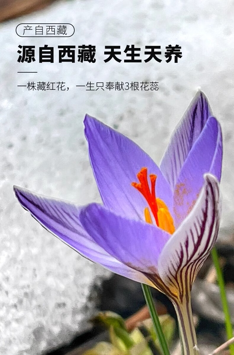 516ad2f1452a10e5.jpg