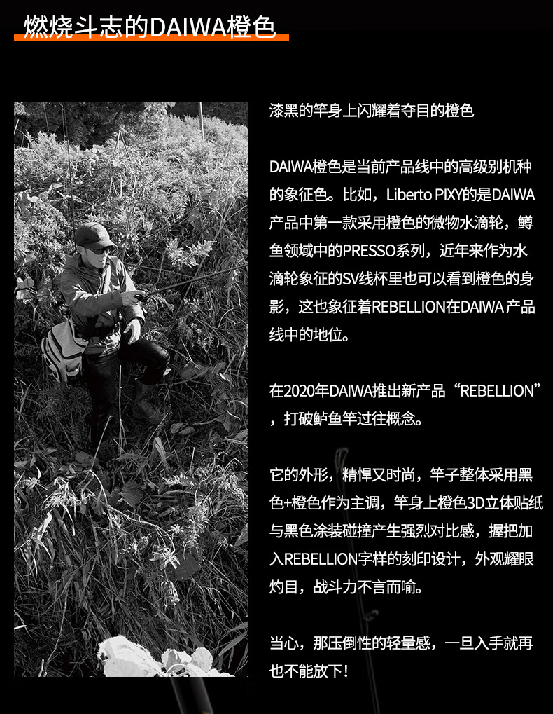 5ca45c7179b67bf3.jpg