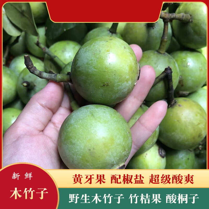 贝娇芬 广西野生木竹子新鲜采摘竹桔果酸桐子黄牙果酸爽当季水果发青