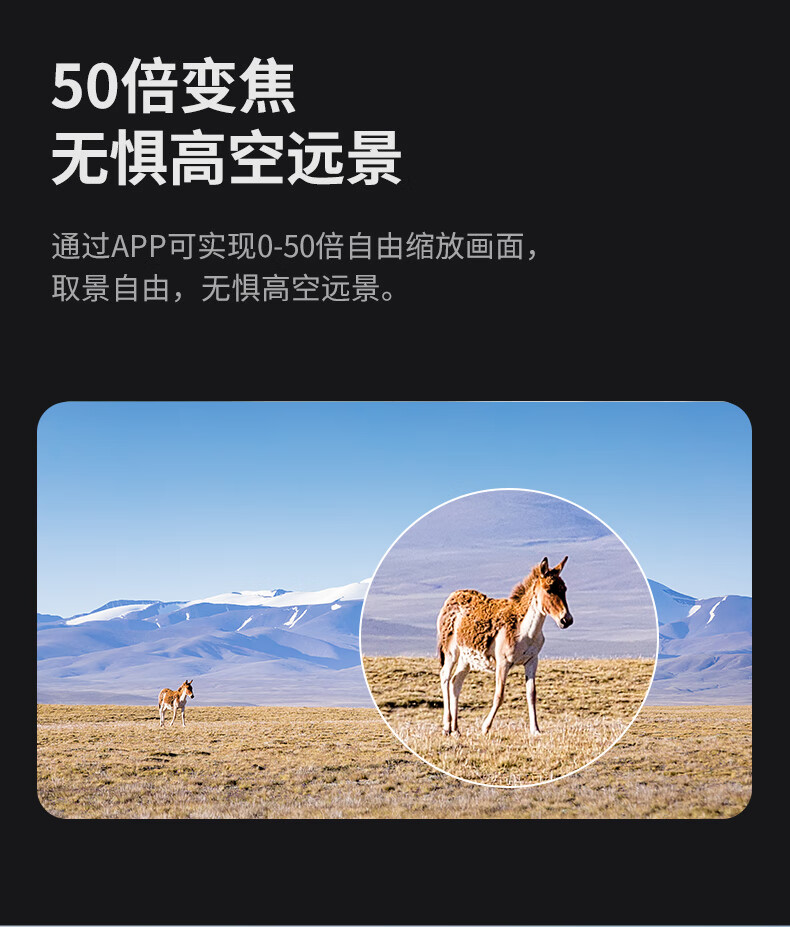 94be8c999cde73f3.jpg