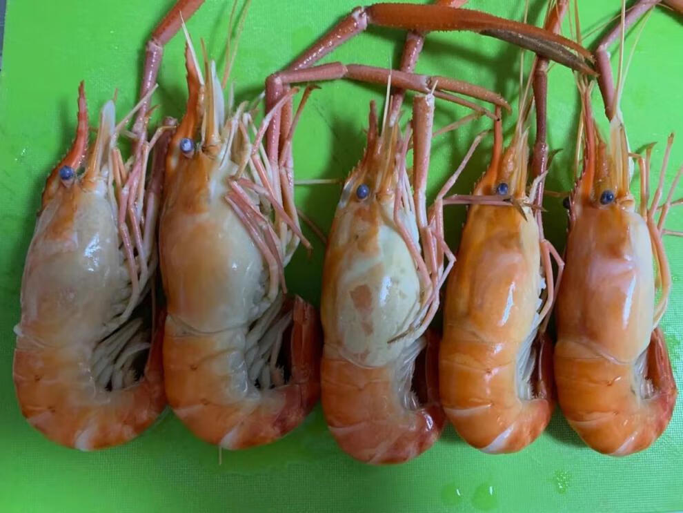 【淡水虾王】罗氏沼虾大青虾大青虾马拉西亚大虾罗氏虾淡水虾 18-23cm