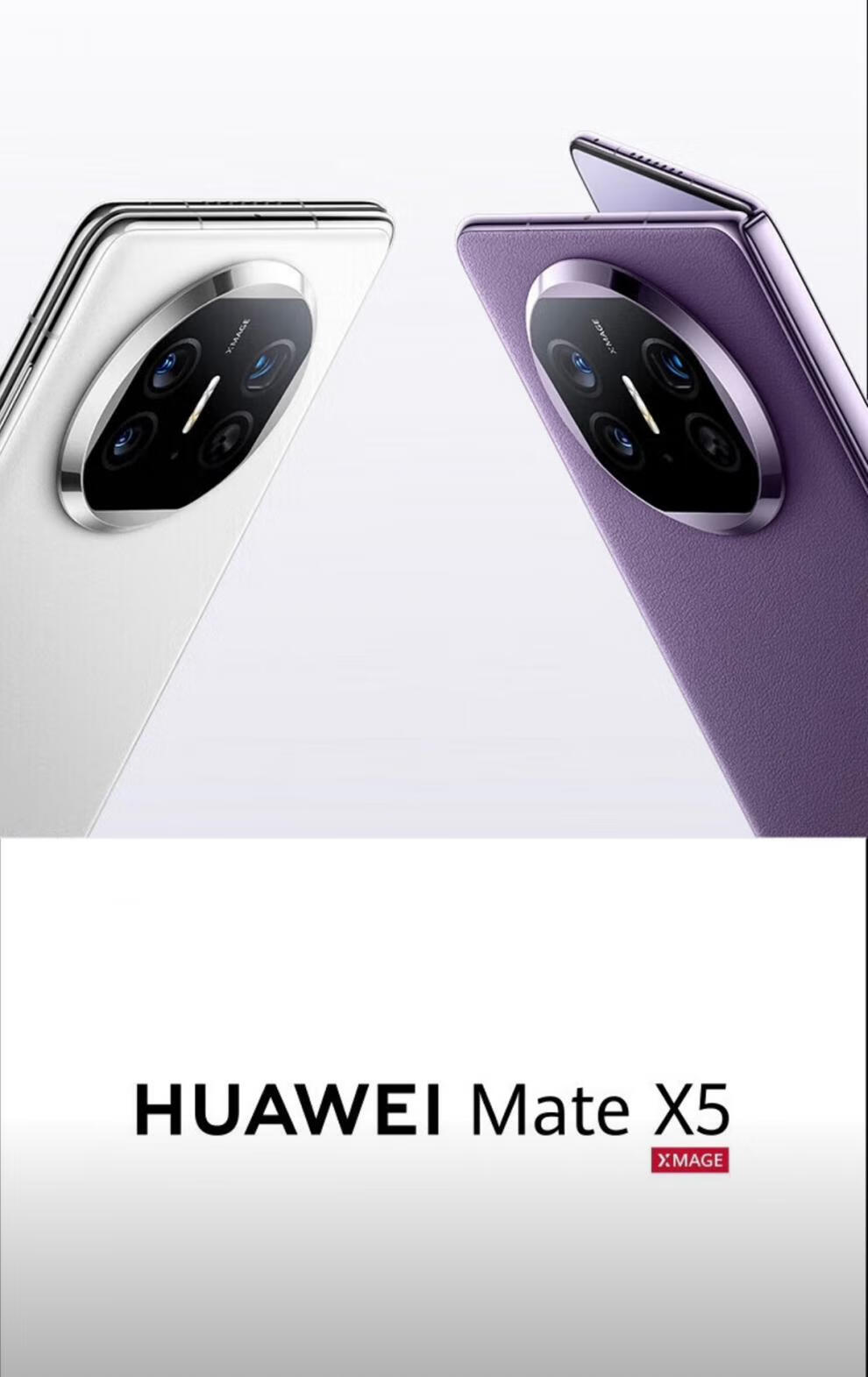 446ce2ee6adedc88.jpg"