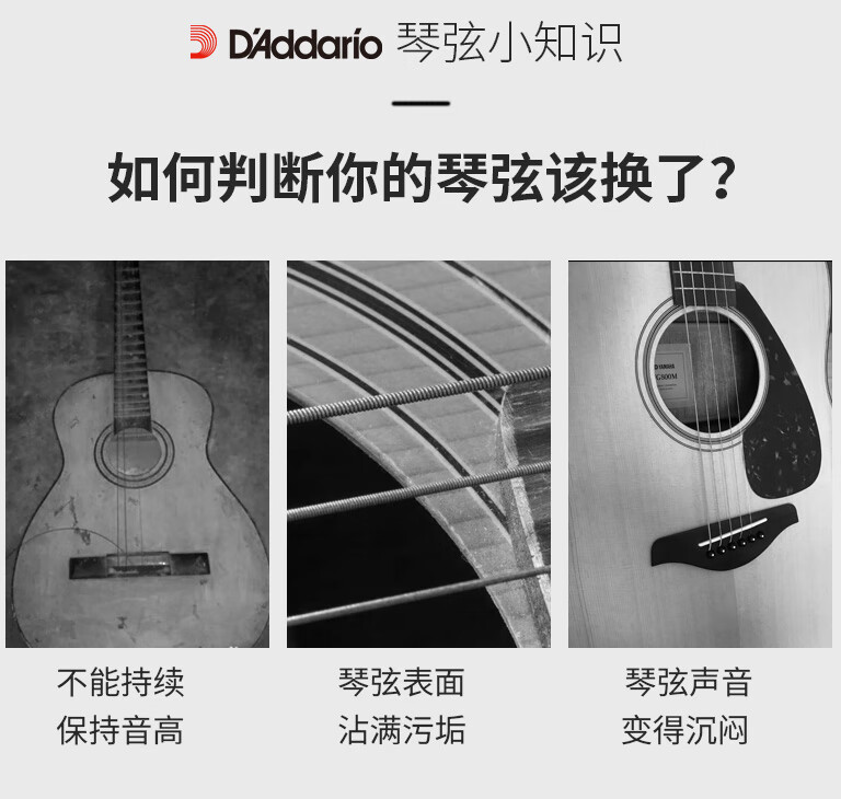 8546de1296105dbb.jpg