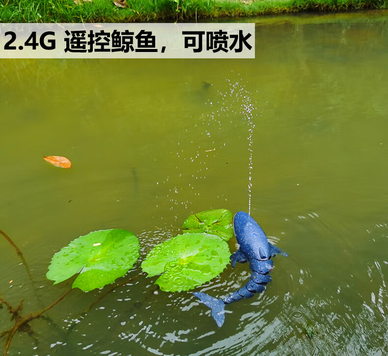 538982c79bb5b295.jpg