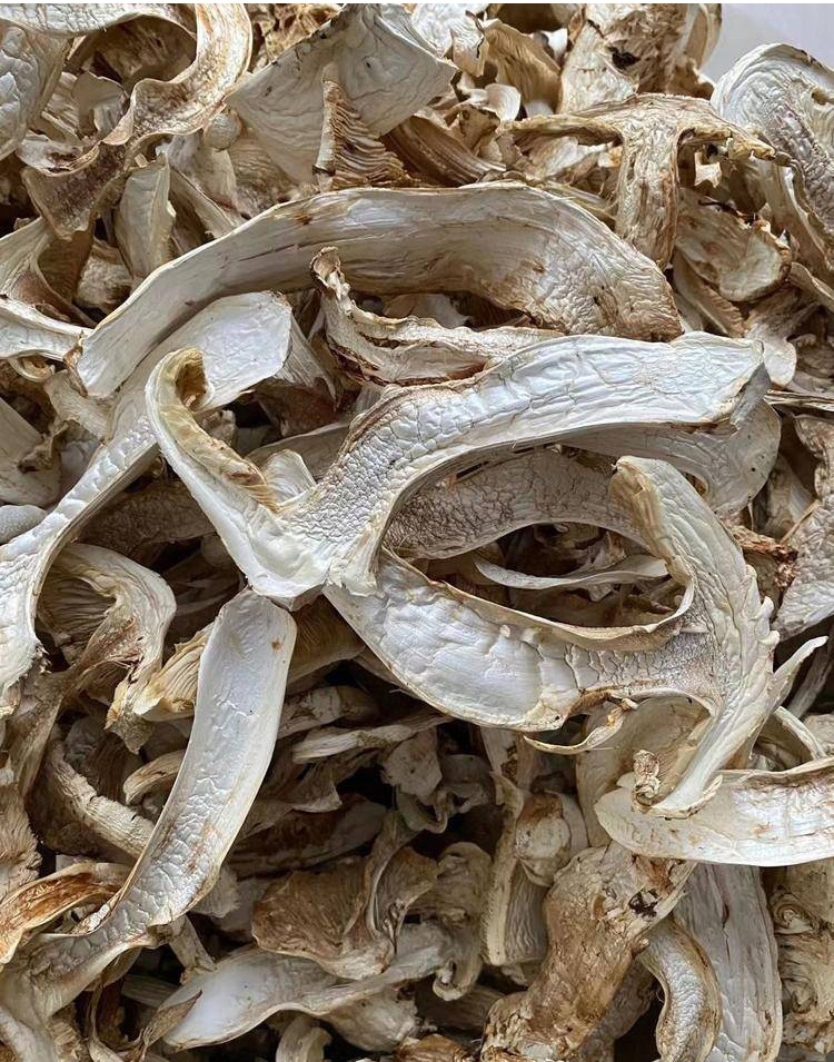 新鲜野生松茸干货西藏松茸菌菇干片100g礼盒装非云南特产【图片 价格